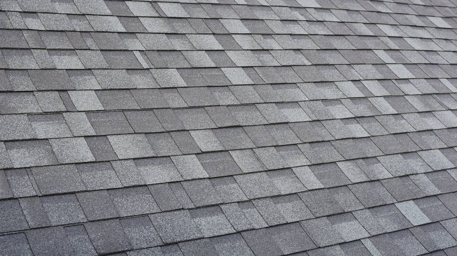 Wide slope of gray architectural asphalt shingles viewed at an angle