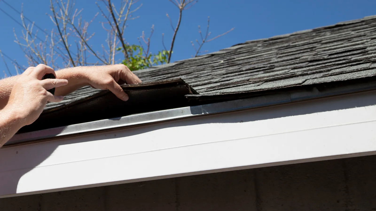 At the roof eave a roofer lifts a curled shingle edge