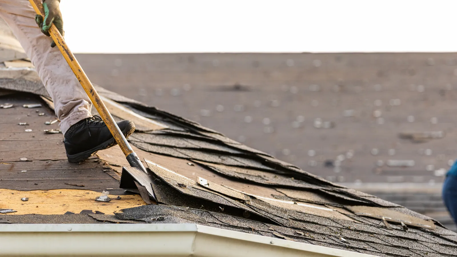 Old shingles lifted by a roofer's shovel beside exposed roof decking