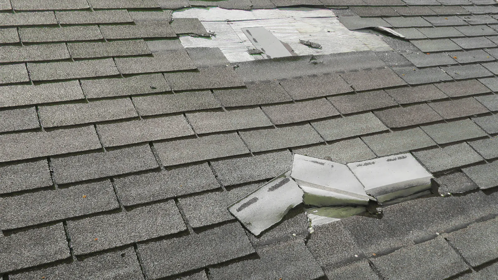 Gray roof with creased and missing shingles showing bare wood